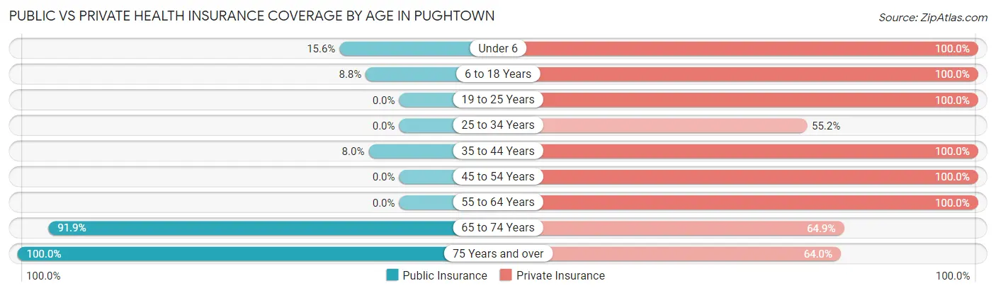 Public vs Private Health Insurance Coverage by Age in Pughtown