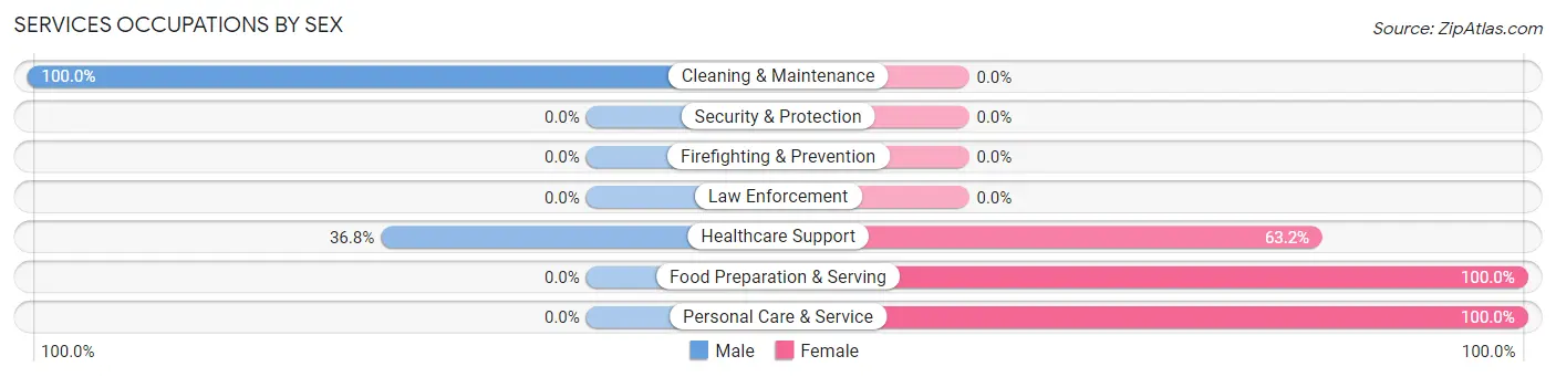 Services Occupations by Sex in Queens Gate