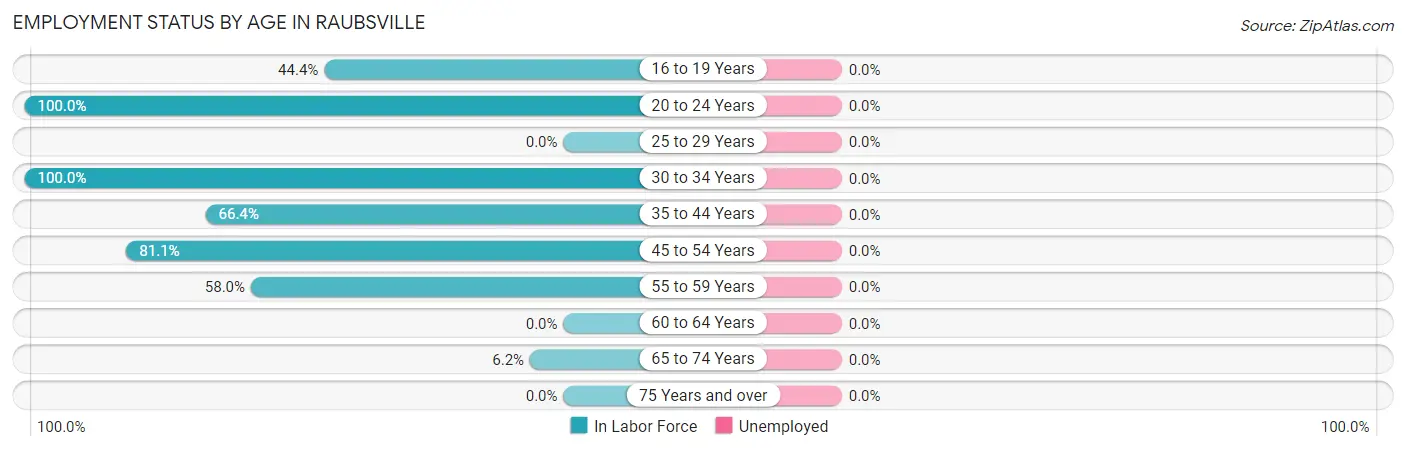 Employment Status by Age in Raubsville