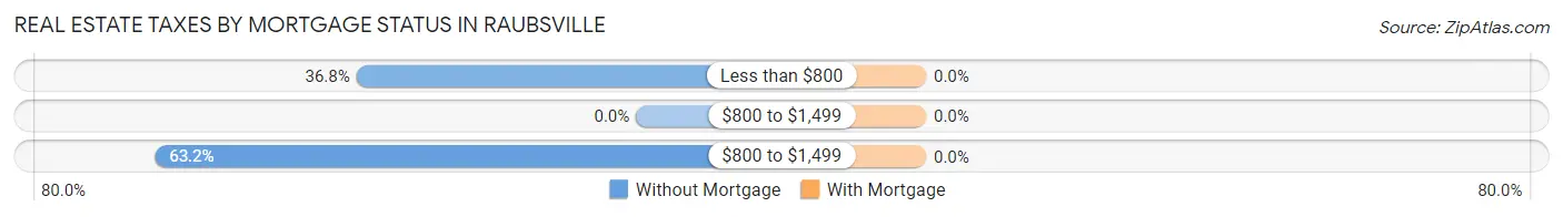 Real Estate Taxes by Mortgage Status in Raubsville