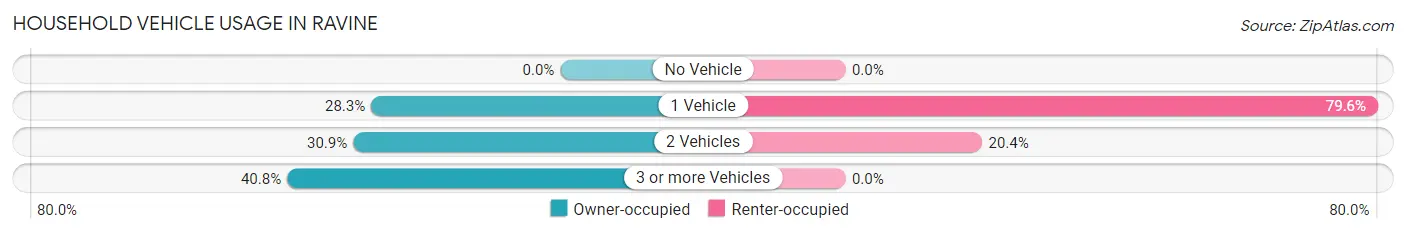 Household Vehicle Usage in Ravine