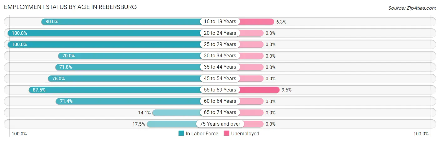 Employment Status by Age in Rebersburg