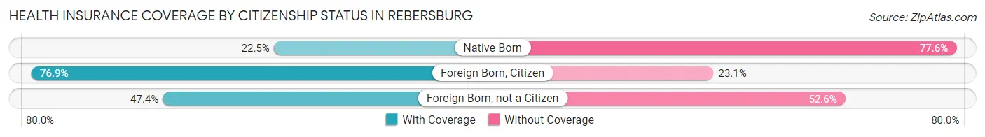 Health Insurance Coverage by Citizenship Status in Rebersburg