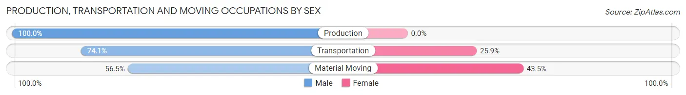 Production, Transportation and Moving Occupations by Sex in Rebersburg