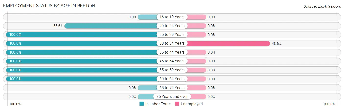 Employment Status by Age in Refton
