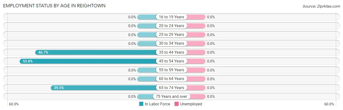 Employment Status by Age in Reightown