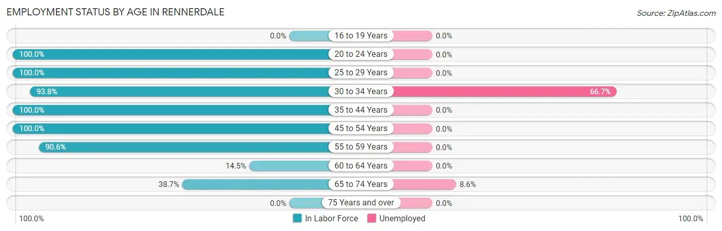 Employment Status by Age in Rennerdale