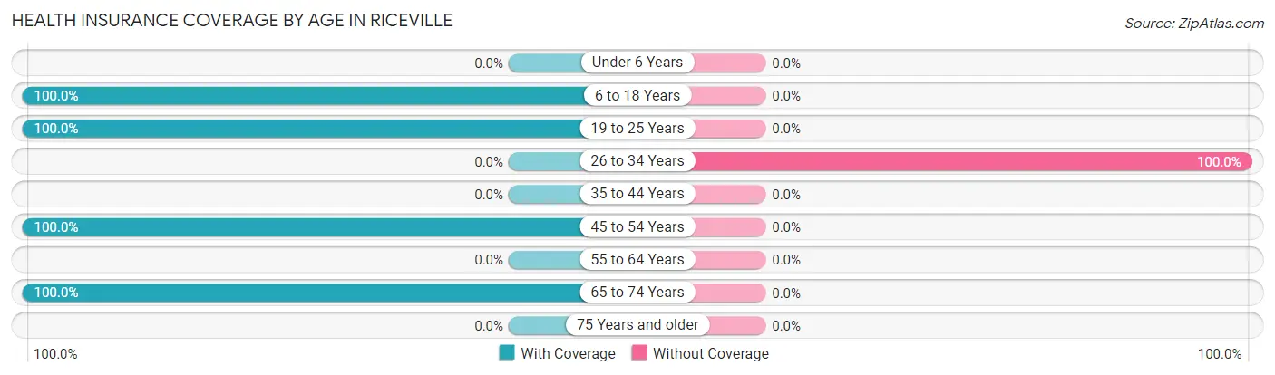 Health Insurance Coverage by Age in Riceville