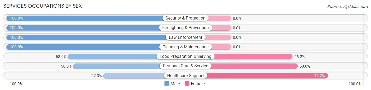 Services Occupations by Sex in Ringtown borough