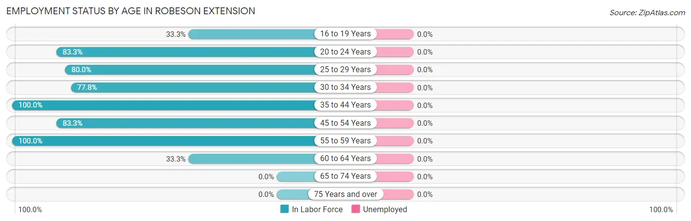 Employment Status by Age in Robeson Extension