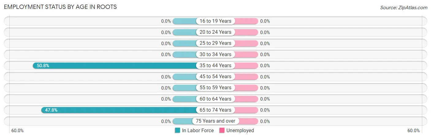 Employment Status by Age in Roots