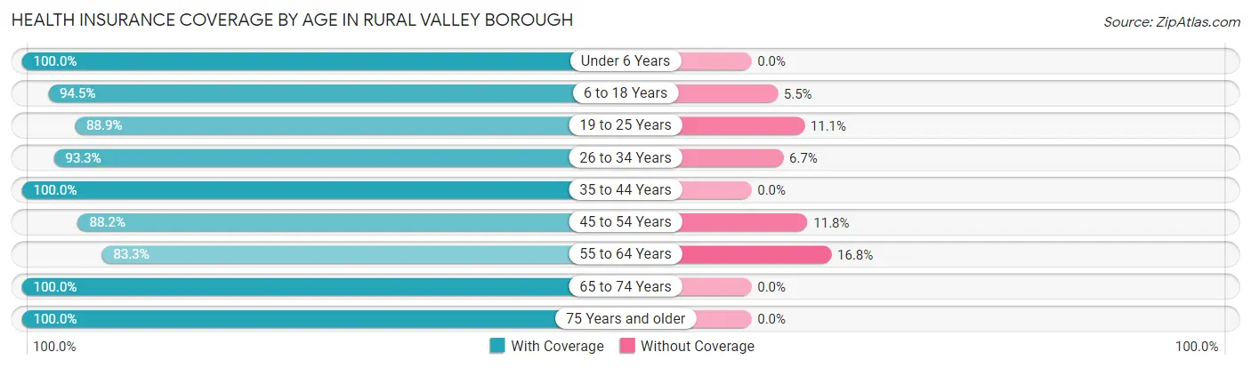 Health Insurance Coverage by Age in Rural Valley borough