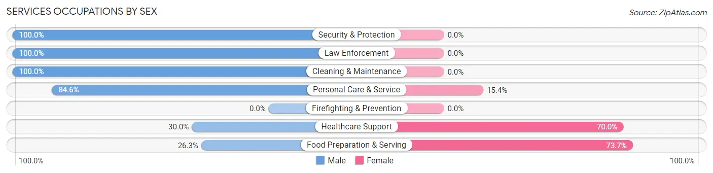 Services Occupations by Sex in Rural Valley borough