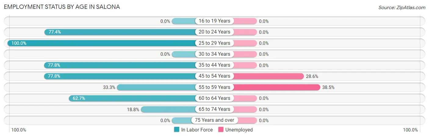 Employment Status by Age in Salona