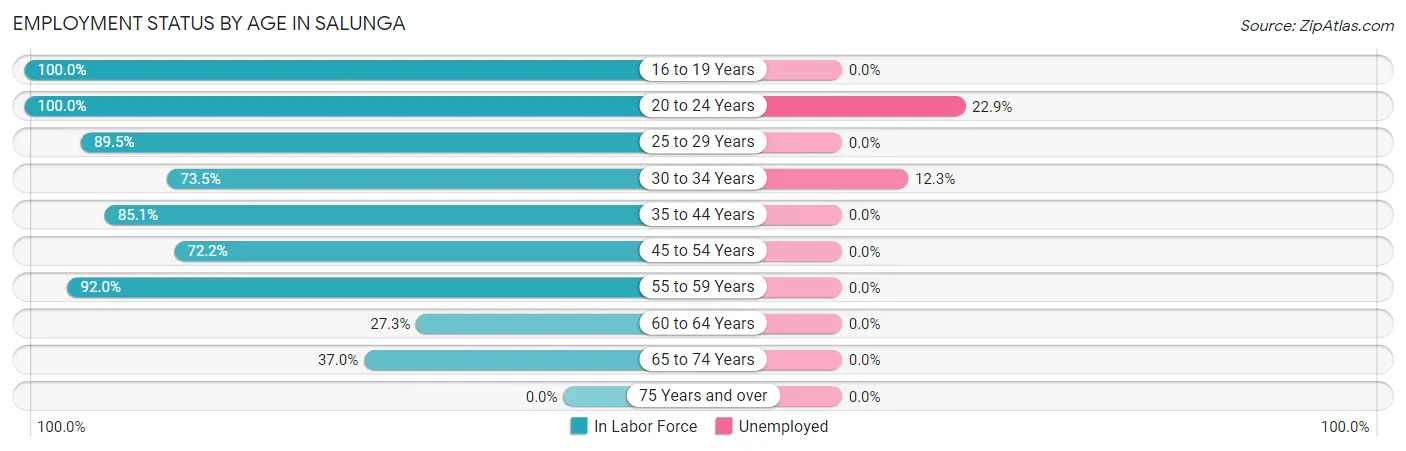 Employment Status by Age in Salunga