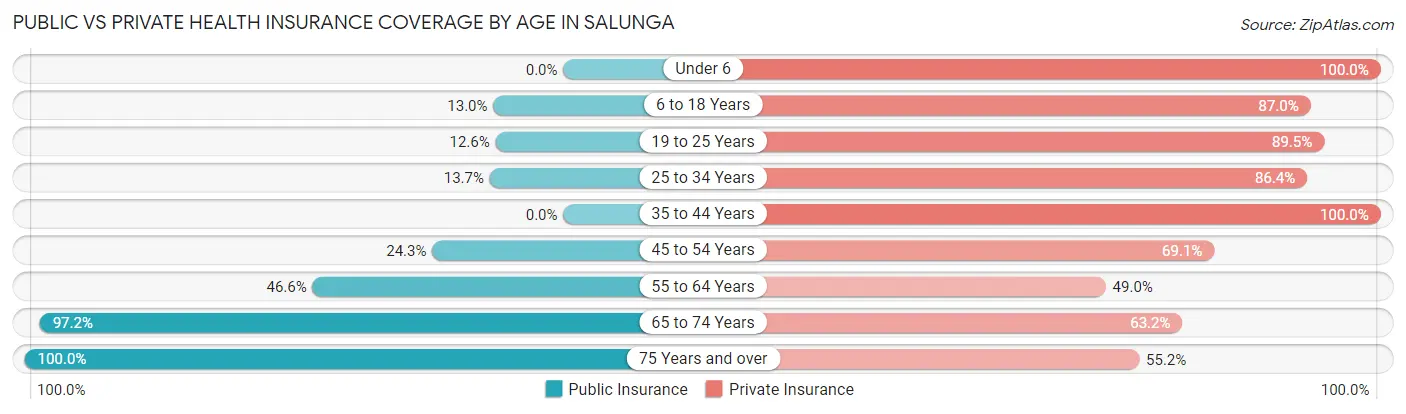 Public vs Private Health Insurance Coverage by Age in Salunga