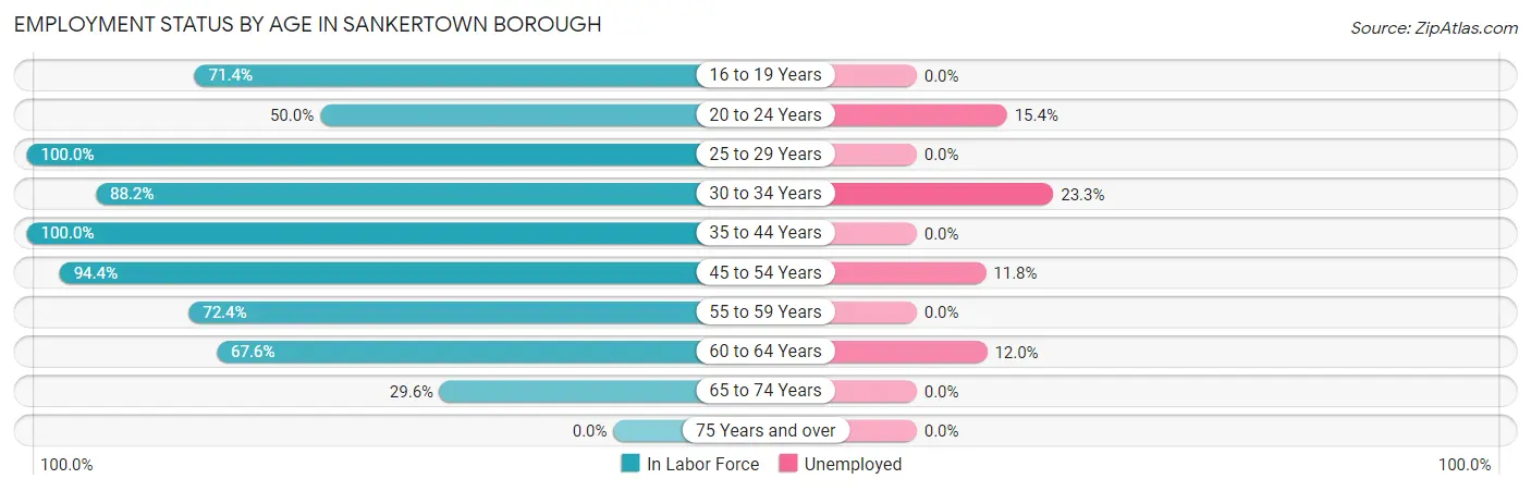 Employment Status by Age in Sankertown borough