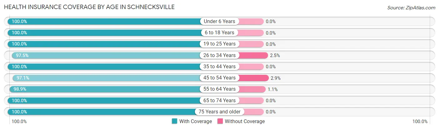 Health Insurance Coverage by Age in Schnecksville
