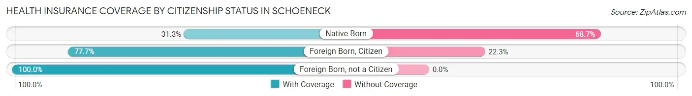 Health Insurance Coverage by Citizenship Status in Schoeneck