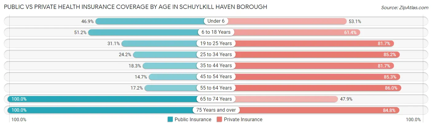 Public vs Private Health Insurance Coverage by Age in Schuylkill Haven borough