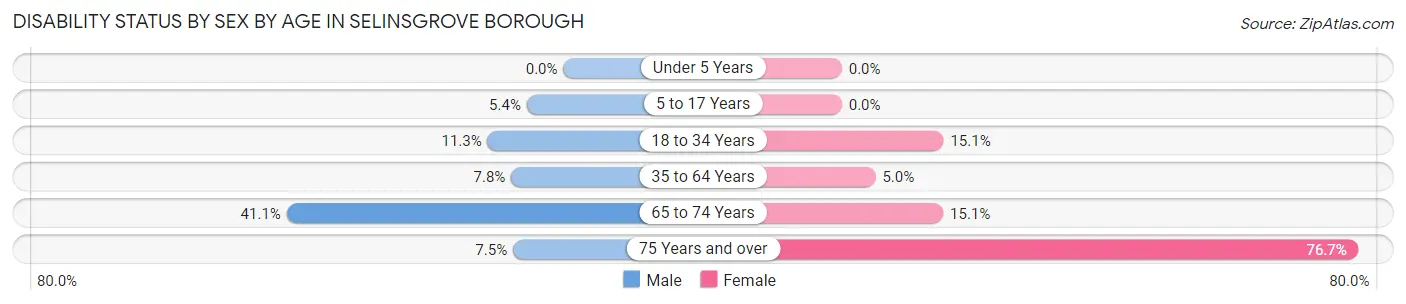 Disability Status by Sex by Age in Selinsgrove borough