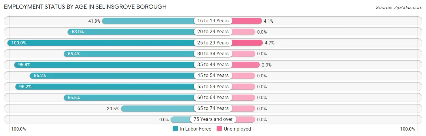 Employment Status by Age in Selinsgrove borough