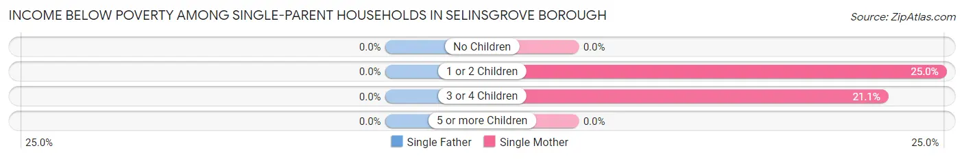 Income Below Poverty Among Single-Parent Households in Selinsgrove borough