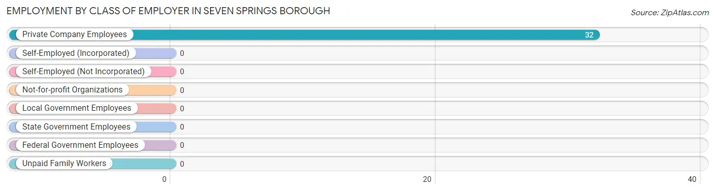 Employment by Class of Employer in Seven Springs borough