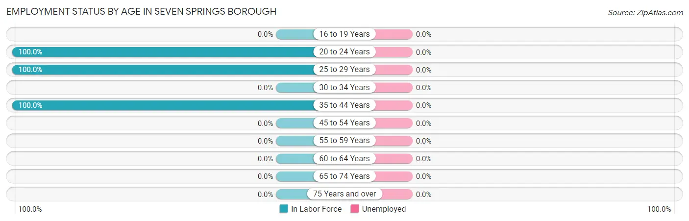 Employment Status by Age in Seven Springs borough