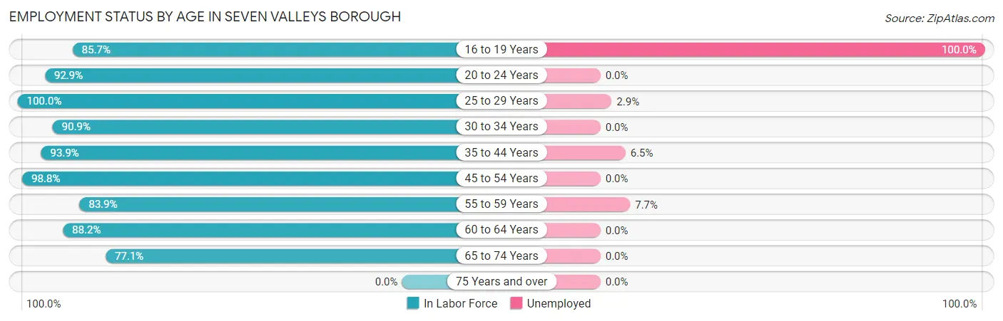 Employment Status by Age in Seven Valleys borough