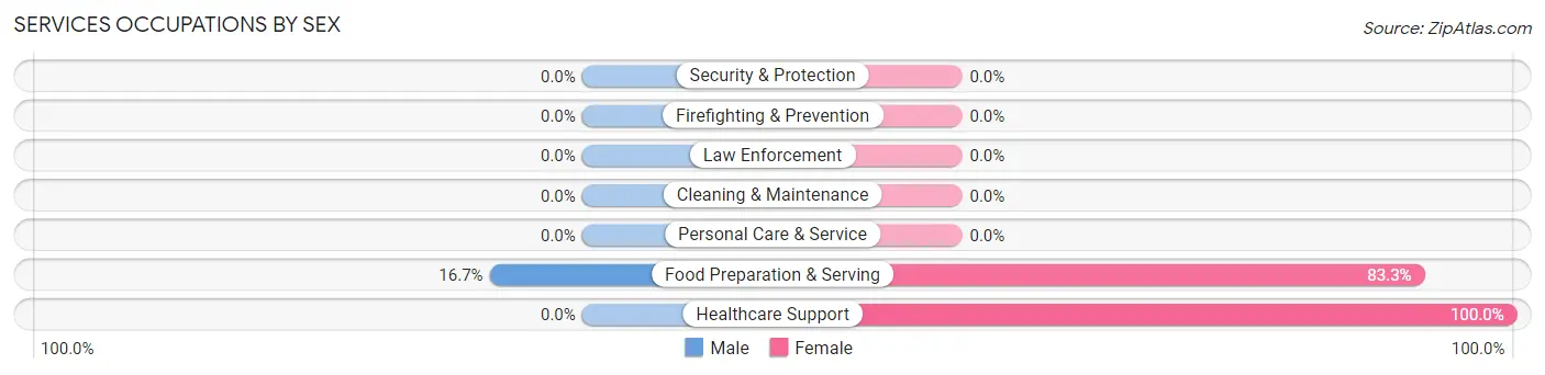 Services Occupations by Sex in Shade Gap borough