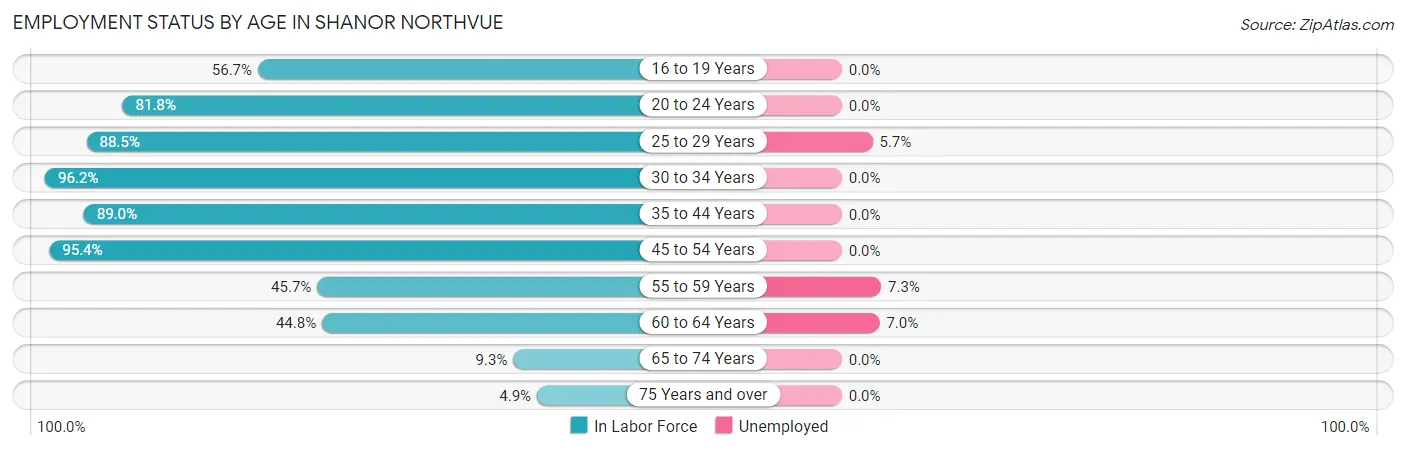 Employment Status by Age in Shanor Northvue