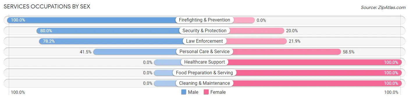 Services Occupations by Sex in Shanor Northvue