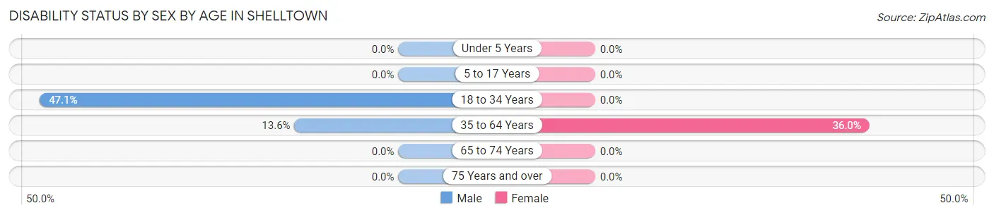 Disability Status by Sex by Age in Shelltown