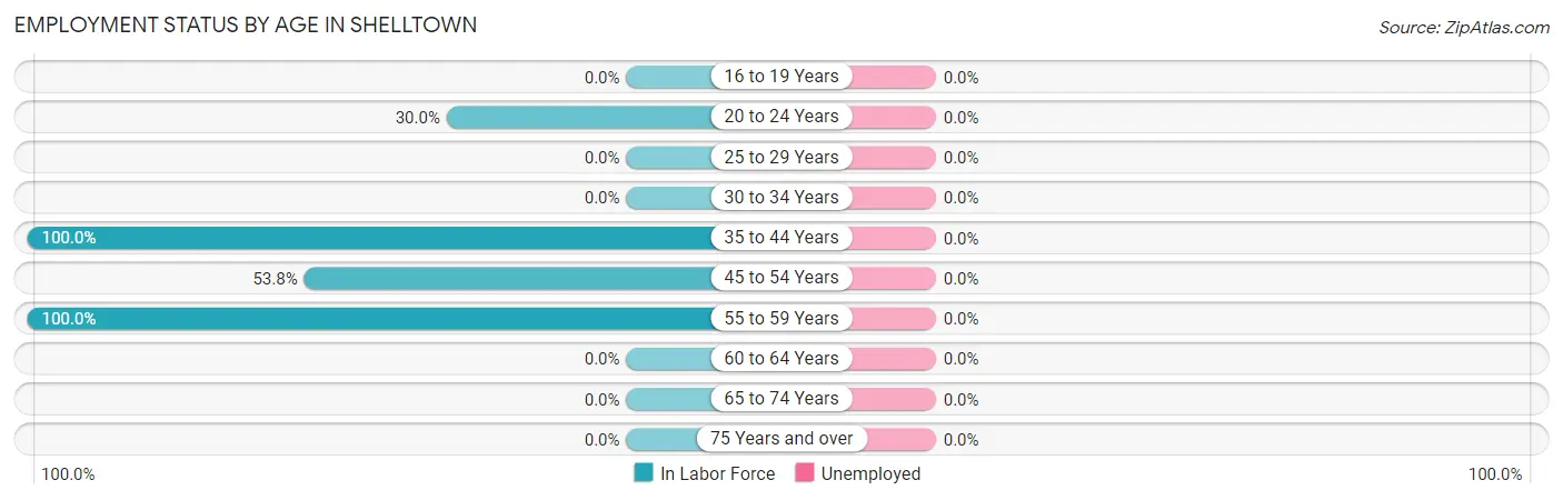Employment Status by Age in Shelltown