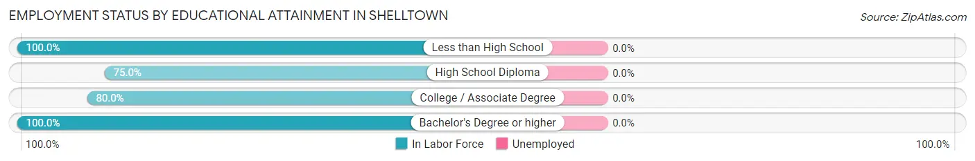 Employment Status by Educational Attainment in Shelltown