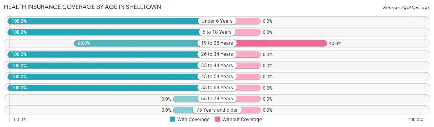 Health Insurance Coverage by Age in Shelltown
