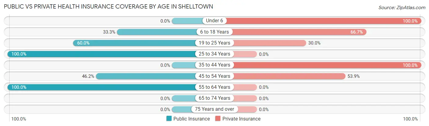 Public vs Private Health Insurance Coverage by Age in Shelltown