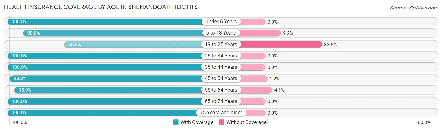 Health Insurance Coverage by Age in Shenandoah Heights