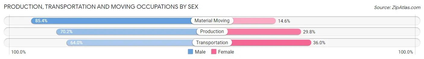 Production, Transportation and Moving Occupations by Sex in Sierra View