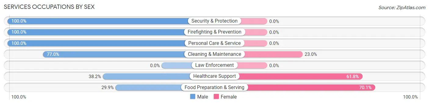 Services Occupations by Sex in Sierra View