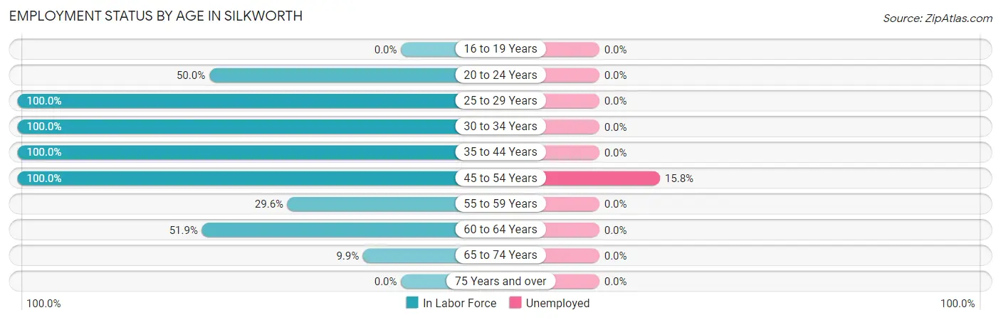Employment Status by Age in Silkworth