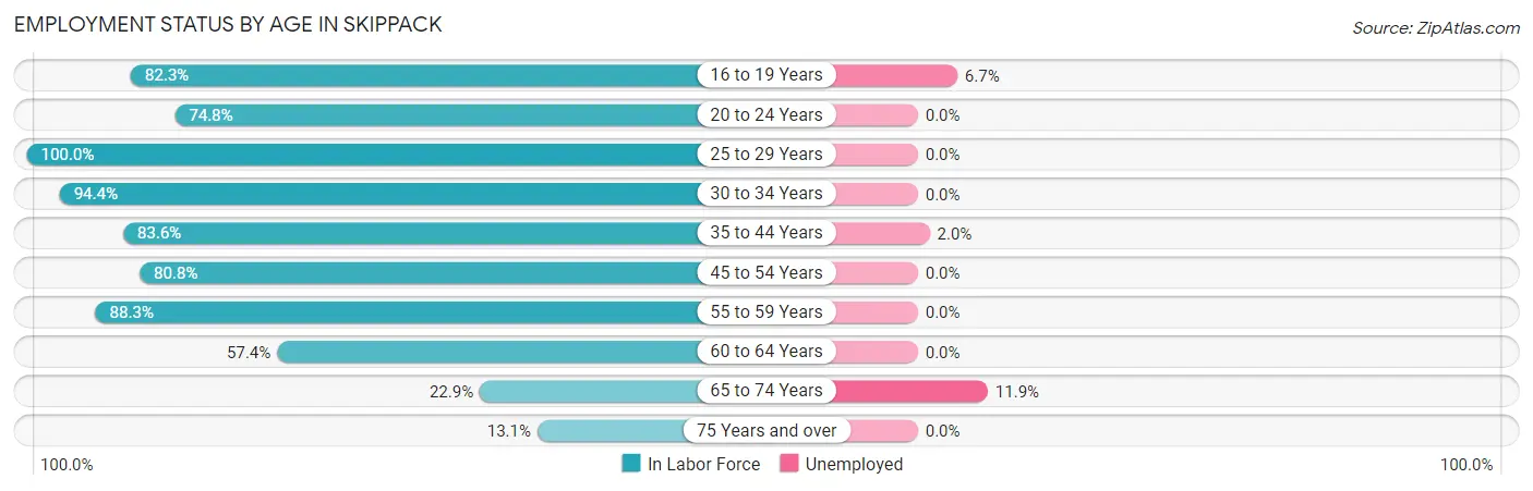 Employment Status by Age in Skippack