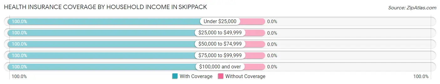 Health Insurance Coverage by Household Income in Skippack