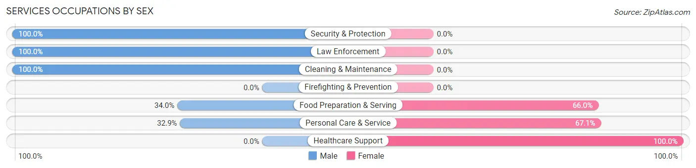 Services Occupations by Sex in Skippack