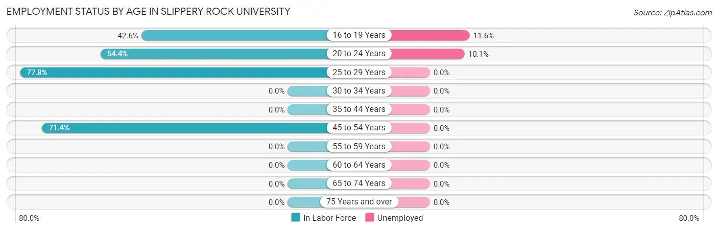 Employment Status by Age in Slippery Rock University