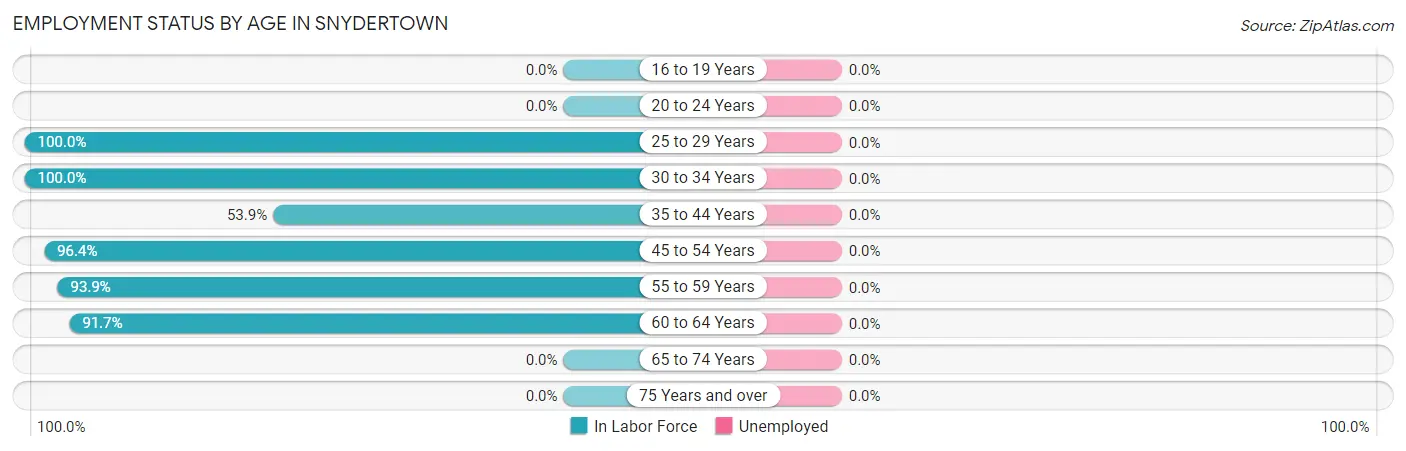 Employment Status by Age in Snydertown