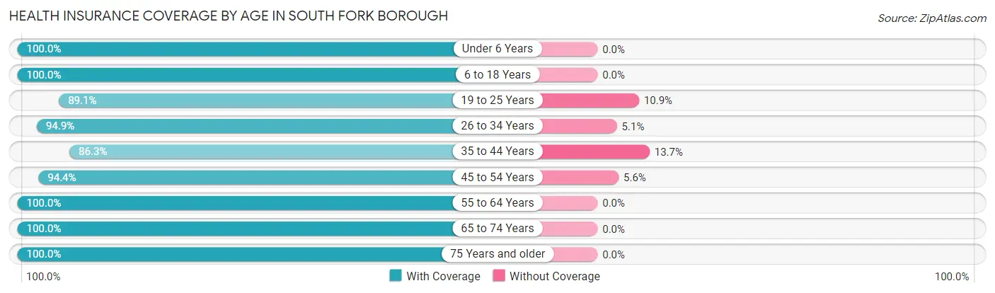 Health Insurance Coverage by Age in South Fork borough