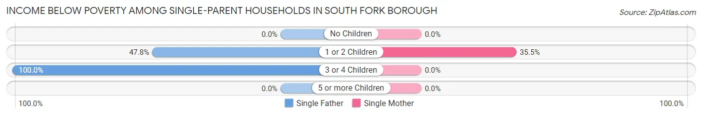Income Below Poverty Among Single-Parent Households in South Fork borough
