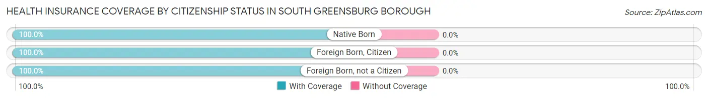 Health Insurance Coverage by Citizenship Status in South Greensburg borough